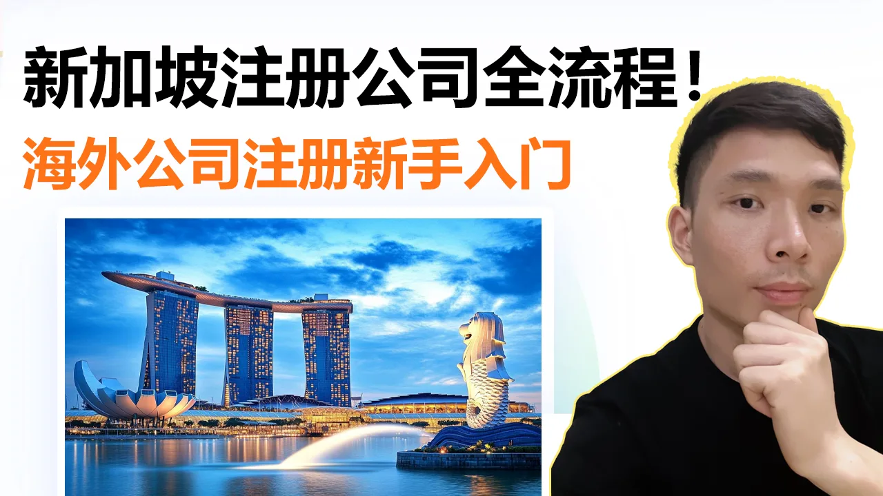 新加坡公司注册新手必看：全流程干货+避坑经验分享